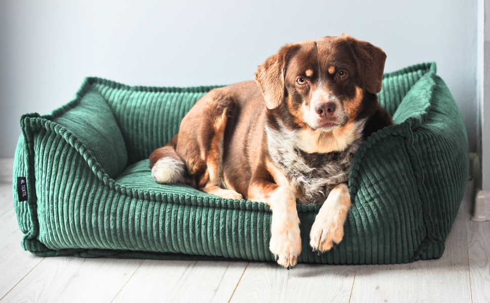 4L Textil М'яке собаче ліжко з корду Hugo Premium-LINE, ортопедичне для маленьких собак, з memory foam, бежеве, 60x40 см