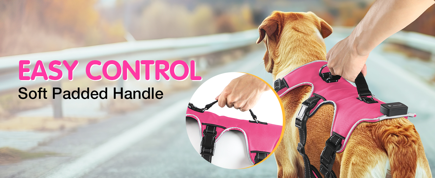 Світловідбиваючий нашийник для собак з LED, перезаряджуваний, зручний, водонепроникний, для середніх та великих собак, зелений (рожевий, M)