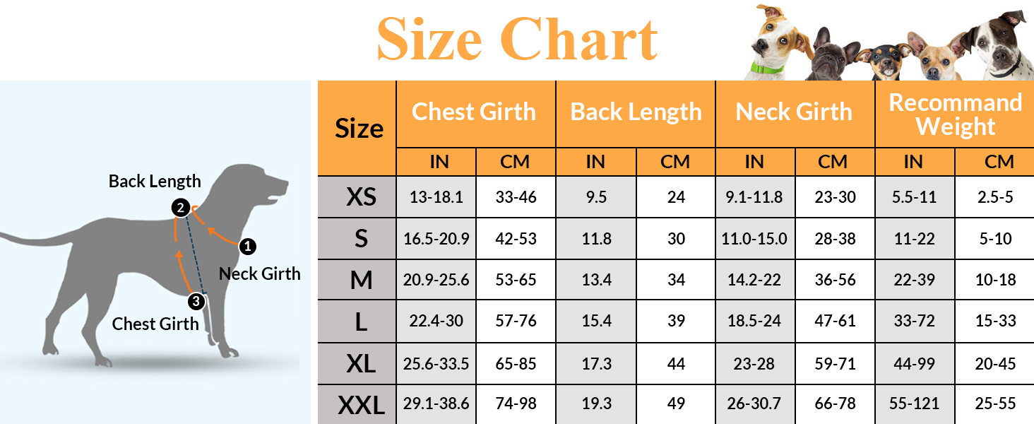 Жилет рятувальний для собак, блакитний XXL, регульований, для малих, середніх та великих собак