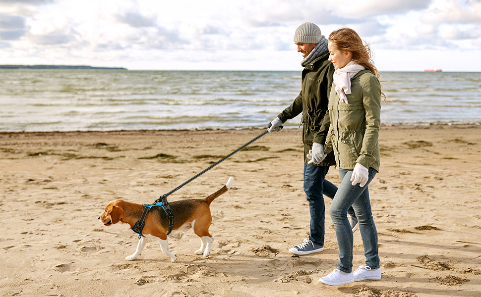 Шлейка для собак PHOEPET, регульована, для прогулянок, з карабіном, світловідбиваючими смугами, ручкою, для середніх та великих собак (L, блакитна)