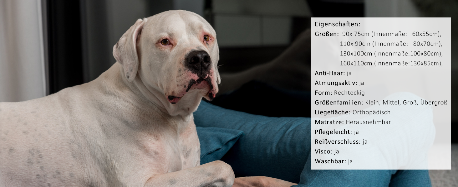 Ортопедичне ліжко для собак Tierlando® Ellen з матрацом з піною з ефектом пам'яті та текстурованою облямівкою. Розмір: 90x75 см, колір: кремовий. Підходить для собак великих та малих порід.