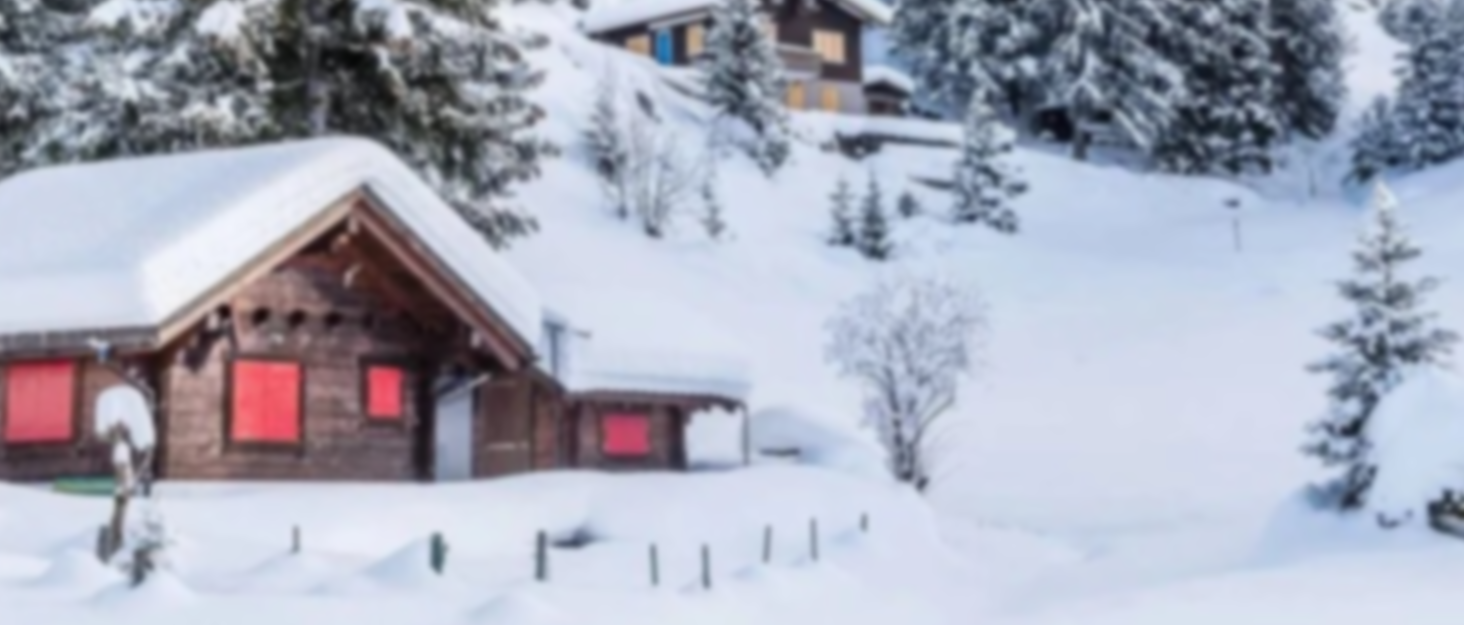 Кормушка для птахів з камерою, AI розпізнавання птахів, 2.4 ГГц/5 ГГц, сонячна, захищена від білок, миттєві сповіщення, 2K камера для заднього двору