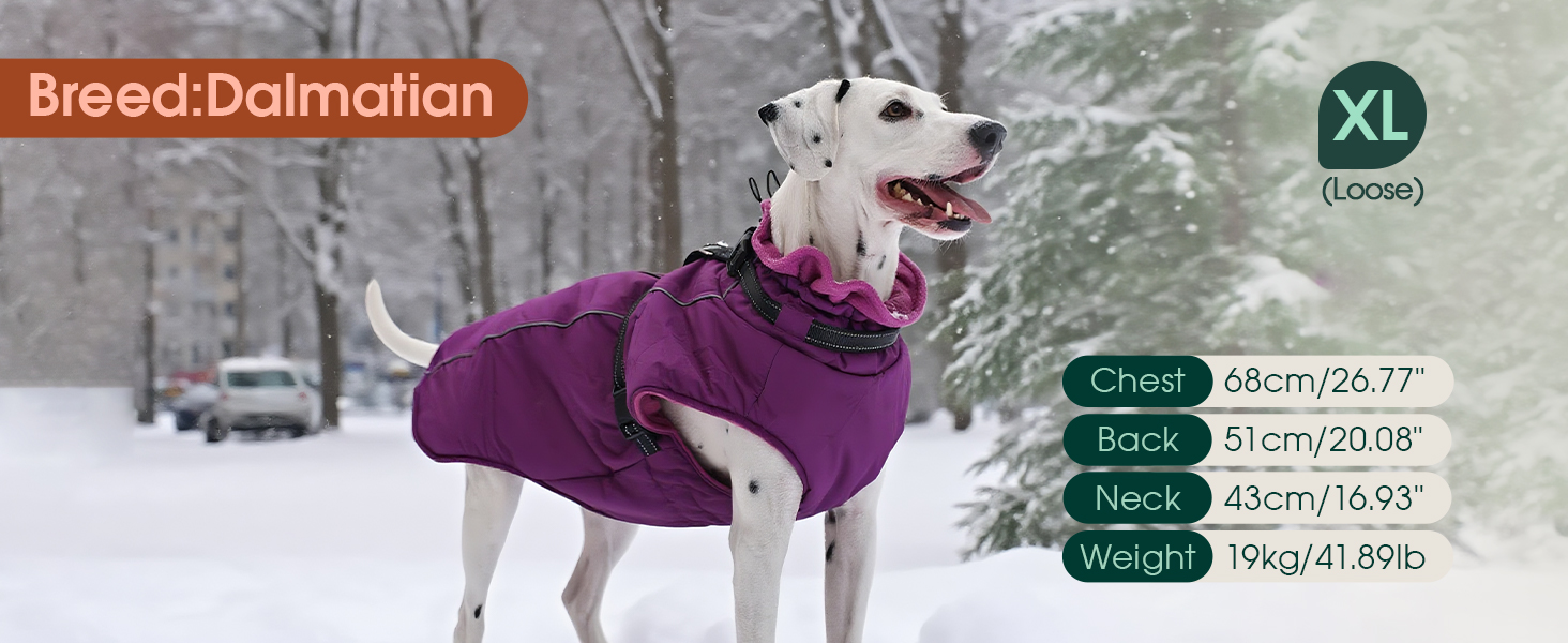 Водонепроникний теплий зимовий пуховик для собак середнього розміру Kuoser, чорний, M (Обхват грудей: 53 см, Обхват шиї: 38 см)