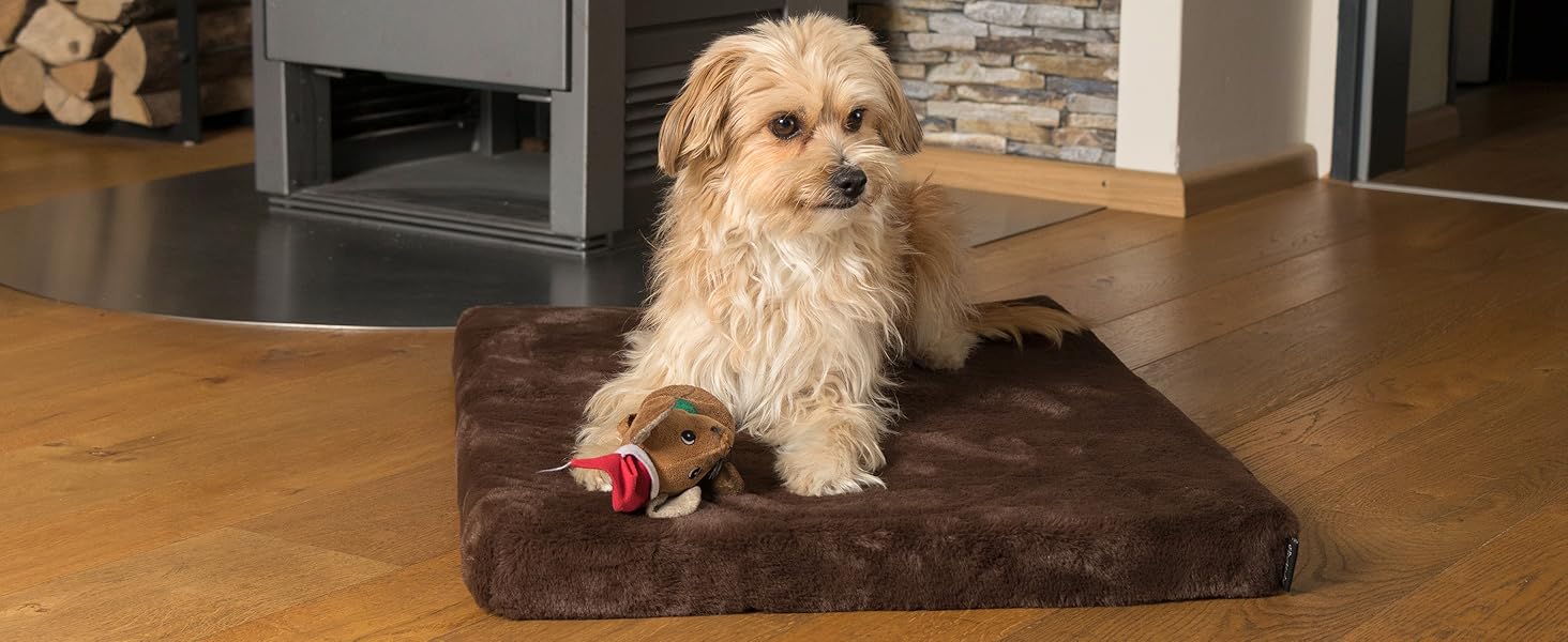 TrendPet VitaMedog - Віскоеластичний матрац для собак, коричневий (50x35 см)