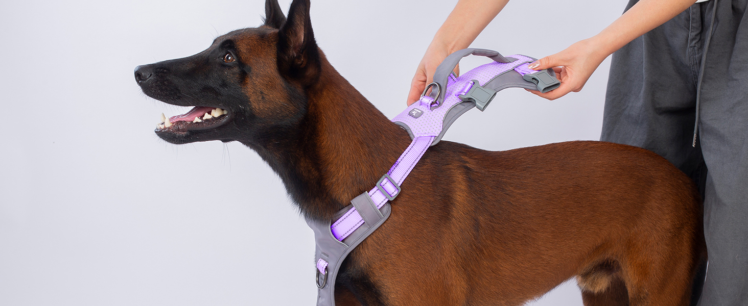 Шлейка Huntboo для собак - антистресова, з ручкою, для малеких, середніх та великих порід (S, M), лавандова