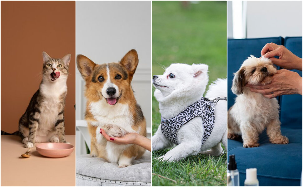 Набір професійних ножиць для собак 7 в 1 з нержавіючої сталі, з безпечними закругленими кінчиками. Включає ножиці для вирівнювання, вигнуті та прямі ножиці, гребінець для грумінгу. Підходить для собак, котів та інших тварин