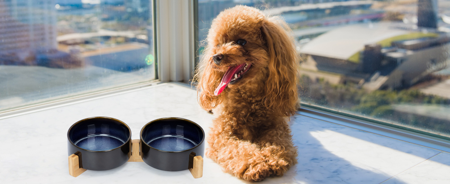 Набір мисок для собак та котів SPUNKYJUNKY з кераміки, 2 шт., 400 мл, блакитний, з підставкою з бамбука