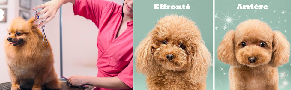 Професійна фен-ножиця для собак та котів, нержавіюча сталь, 13 × 5,5 × 0,5 см