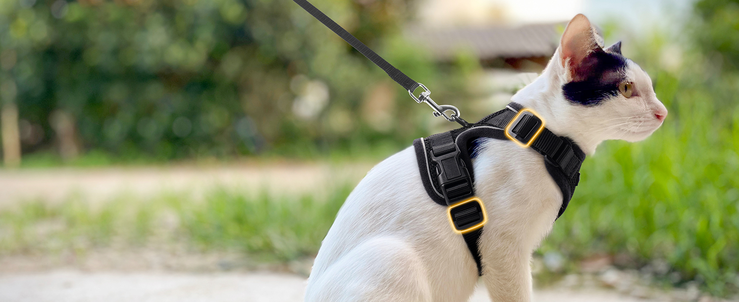 Шлейка для кота Rabbitgoo з повідком, чорна, м'яка, для котів, шлейка-жилет, безпечна, регульована, чорна, M (1 шт.)