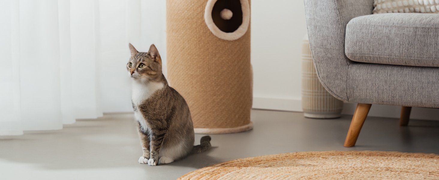 Котячий когтетоп Lionto з сизалю з іграшковим м'ячиком та плюшевим обідком, висота 50 см. Стабільний когтетоп для кошенят та дорослих котів, ідеальний догляд за кігтями та розваги, багато місць для хованнів, діаметр 36 см, висота 50 см (джут, висота 70 см)