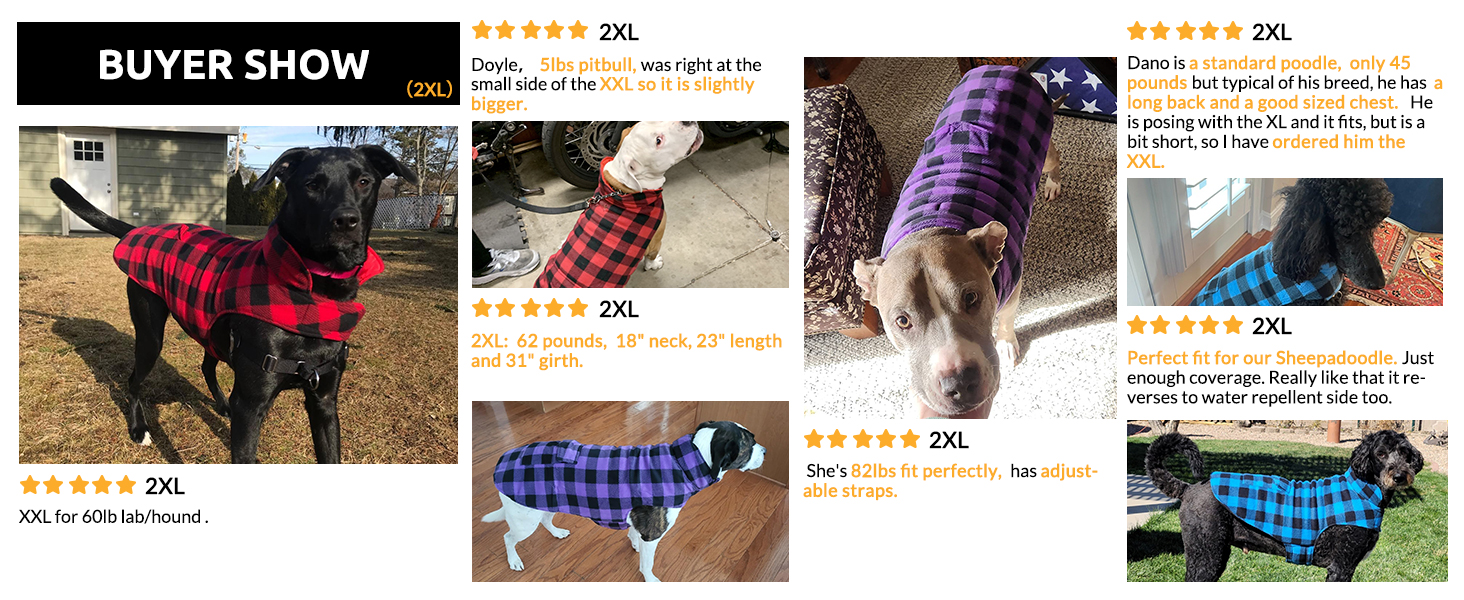 Зимовий теплий дощовик для собак XS, флісова куртка, дощовик для собак, 2 в 1, водонепроникний, вітрозахисний, з отвором для повідка, зелений