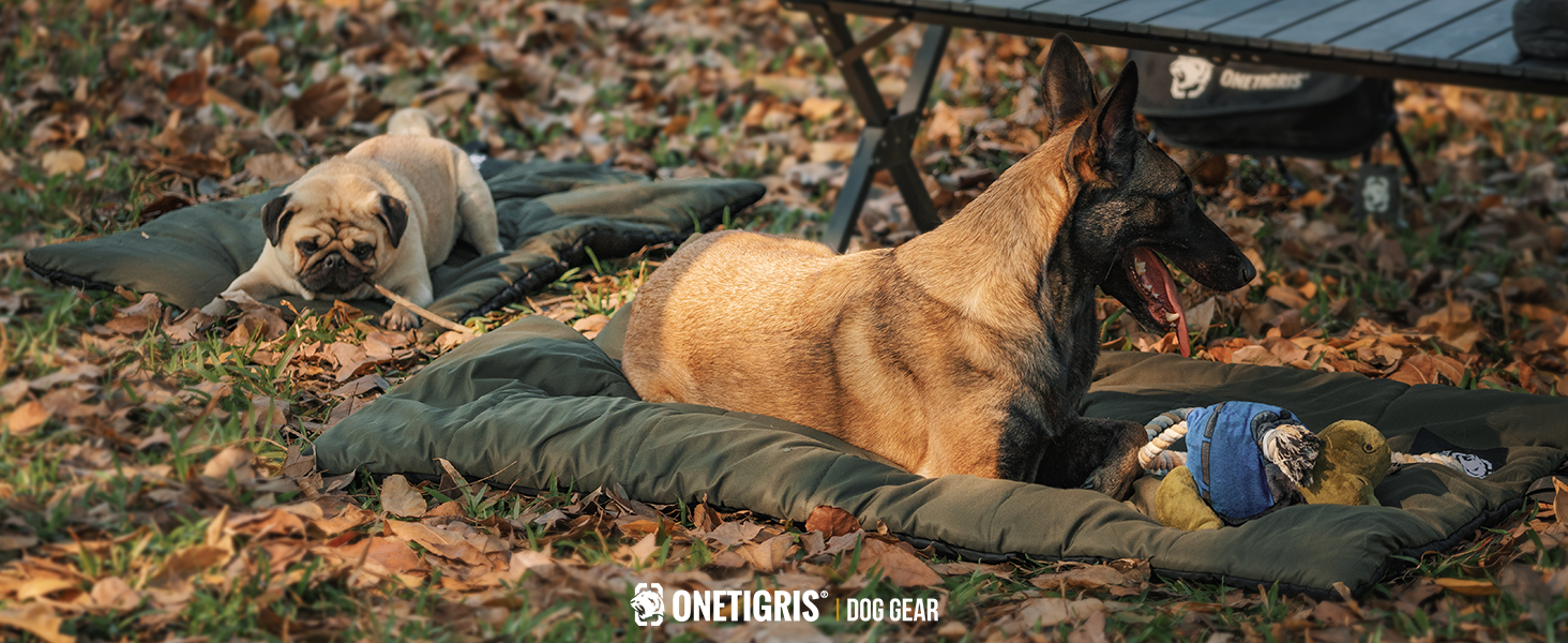 OneTigris килимок для собак 130 x 85 см, водонепроникний, м'який, для подорожей, кемпінгу, відпочинку на вулиці - оливковий, L 130 x 85 x 2 см