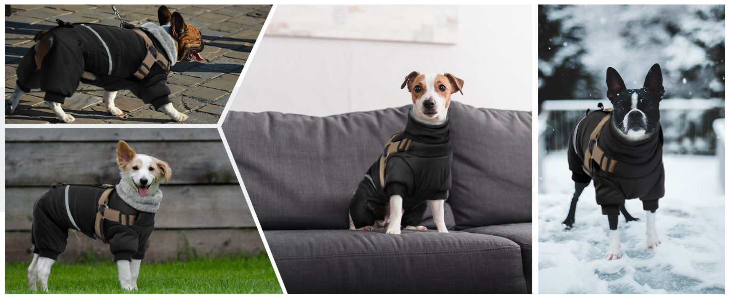 Зимовий теплий одяг для собак S, куртка для маленьких собак, теплий костюм для чихуахуа та бульдога (чорний, S)