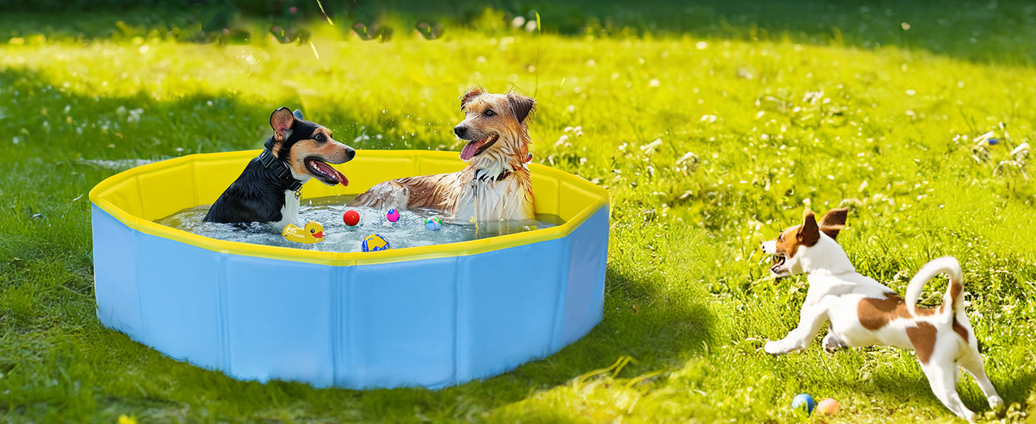 Басейн для собак Nobleza: складаний, 80x20 см, блакитний та жовтий, для великих та маленьких собак та котів