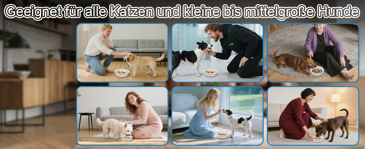 Миска для собак Slow Feeder з антиковзким покриттям, кераміка, для маленьких та середніх порід