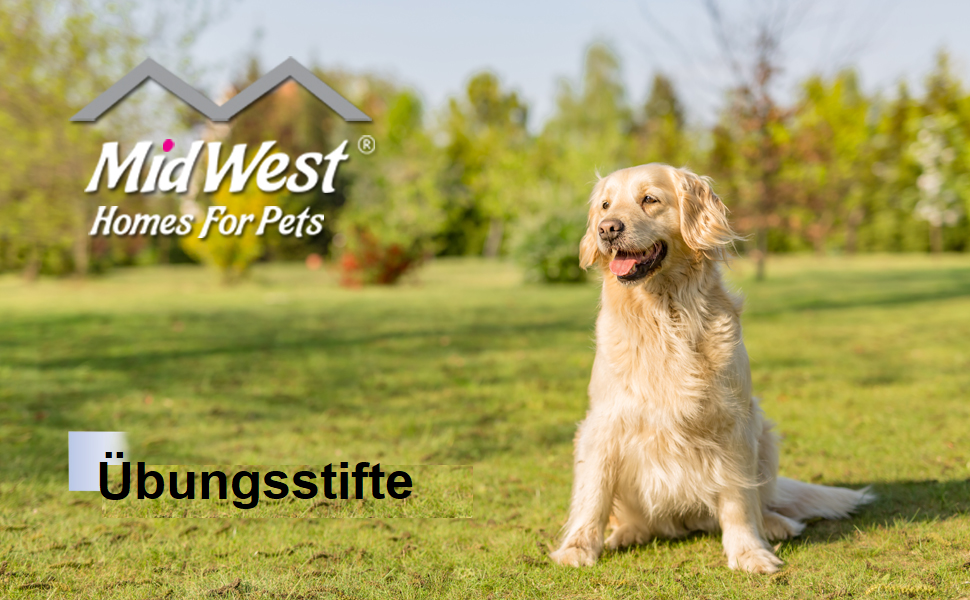 Клітка-загорожа для собак Midwest Homes for Pets 550-36DR, 157 x 157 x 91 см, чорна емаль, з дверцятами