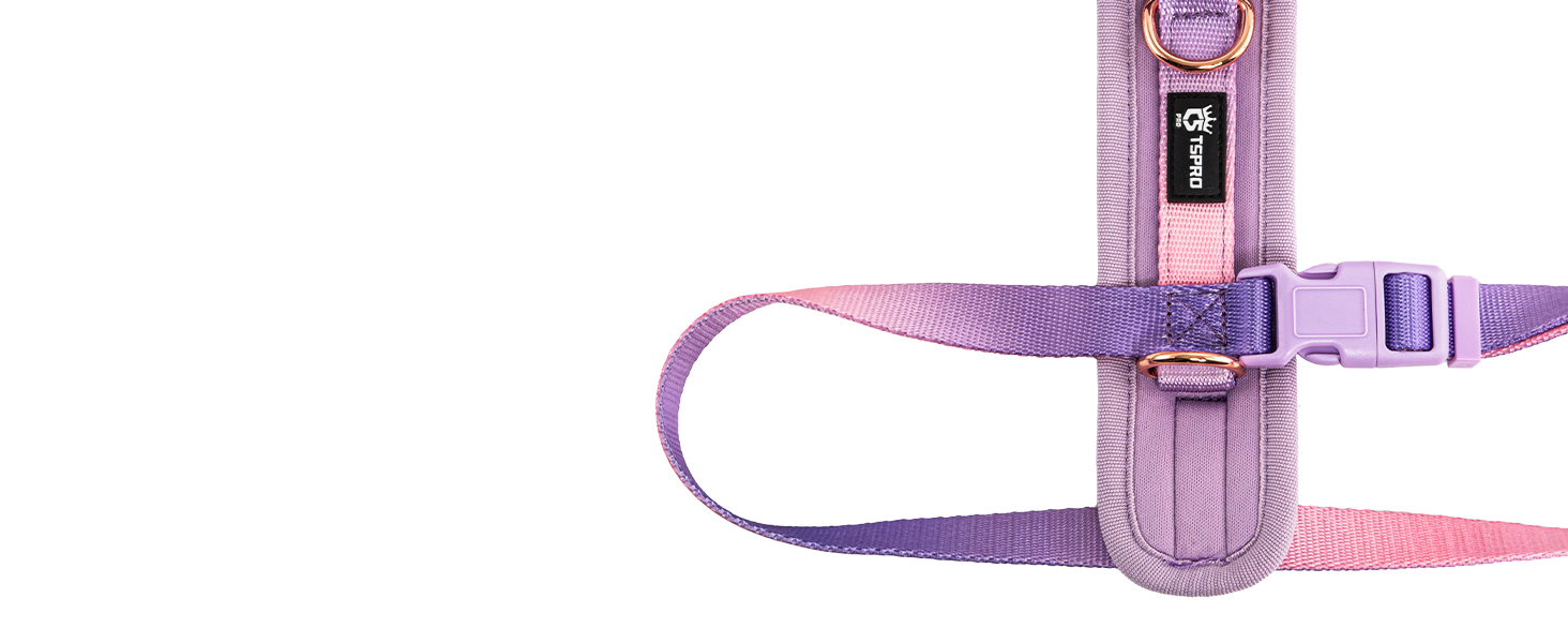 Нашийник для собак середніх порід TSPRO, не тягне, жовто-зелений градієнт, розмір 2 (40-70 см)