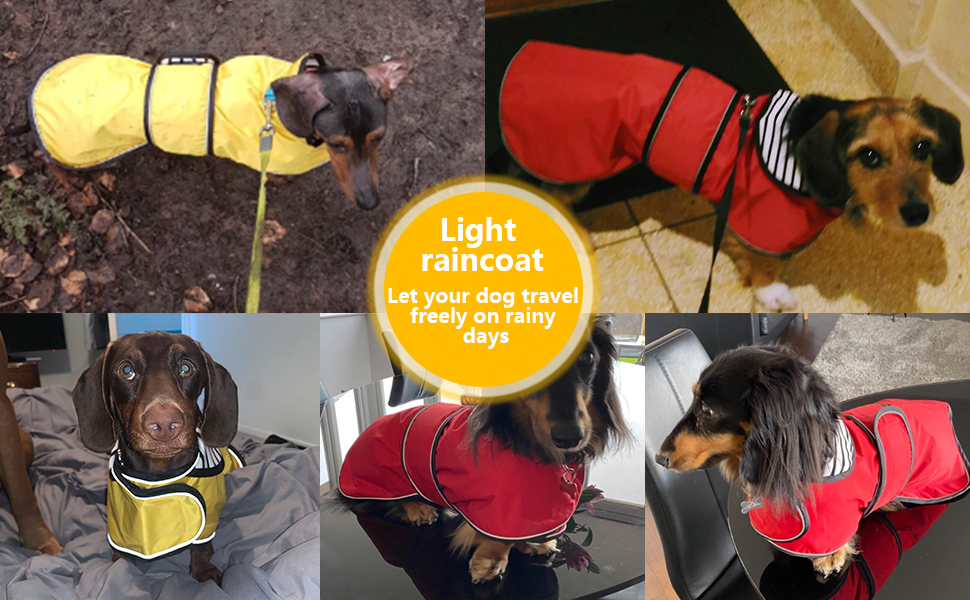 Дощовик для собак Geyecete, рожевий, розмір M (довжина спини 42-45 см), регульований, з відбиваючими елементами