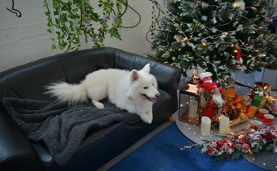 Підстилка для собак та котів Raikou з плюшевою подушкою, флісова, зручна та нековзна (100x70 см)