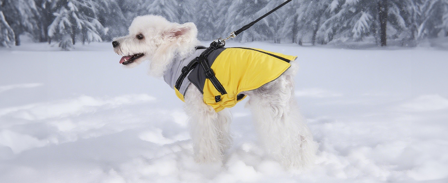 Водонепроникний зимовий одяг для собак Savlot: тепла куртка та вітрозахисний костюм для маленьких та середніх собак з шлейкою. Відображаючий дизайн (L, жовтий + сірий)