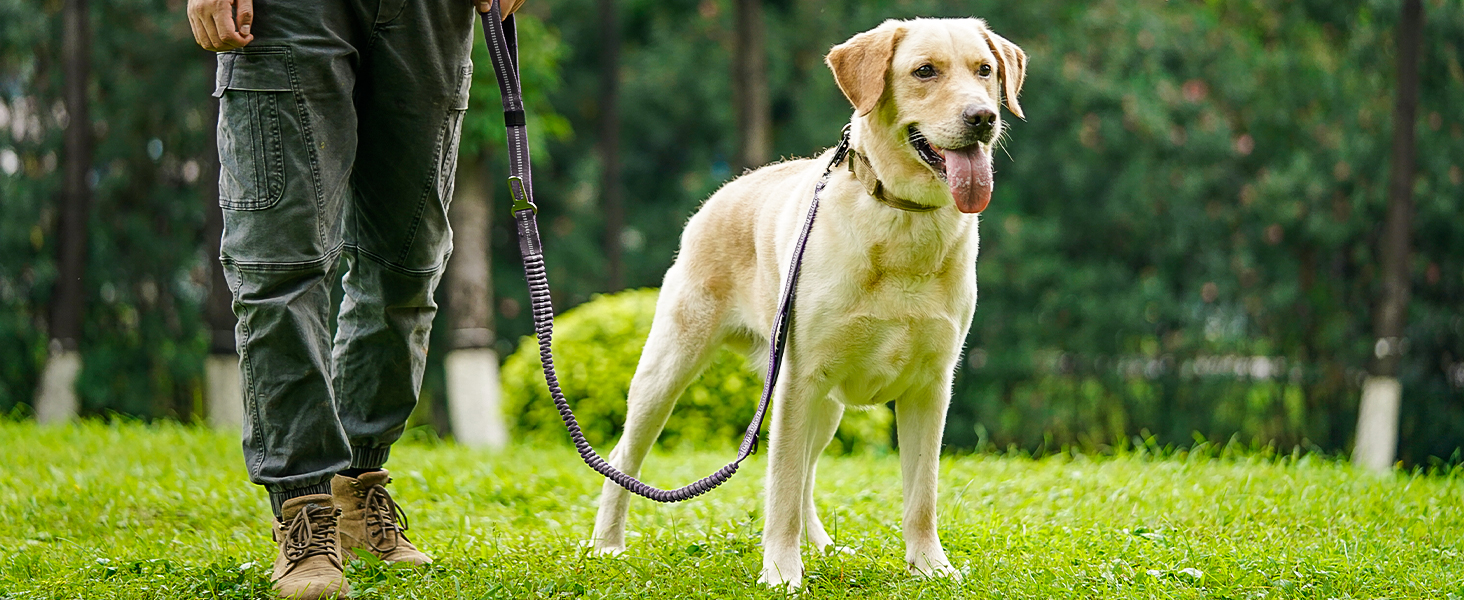 Тактична повід для собак Joytale, еластичний (bungee) повід з двома м'якими ручками, автофіксатор, повід без ривка для собак середніх, великих та екстра-великих порід (1.2м-1.8м, сірий)