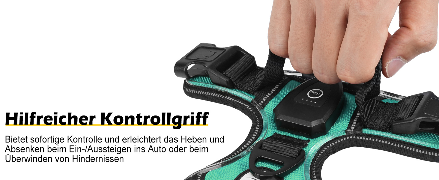 Світловідбиваючий нашийник для собак Joytale з LED, для середніх собак, без натягування, з ручкою, регульований, для нічних прогулянок, зелений, розмір M (1 шт.)