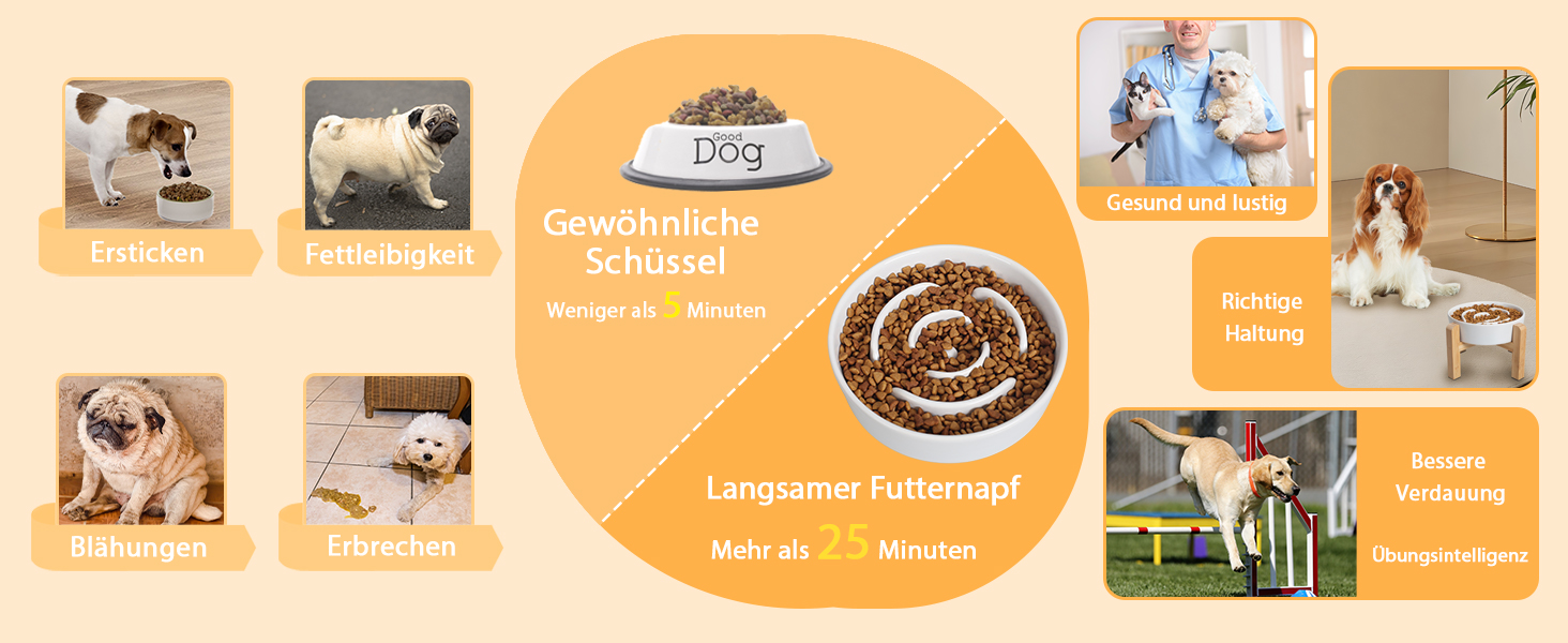 Миска для собак антиблік з кераміки, піднята - миска для собак на бамбуковому антиковзному підставці, миска для повільного годування, для собак маленьких та середніх порід, біла, діаметр 17 см, 1.25 CUP