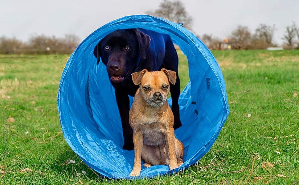 Набір для аджиліті для собак: тунель, аксесуари, конуси, фрісбі, кидки та переносна сумка (200 см)