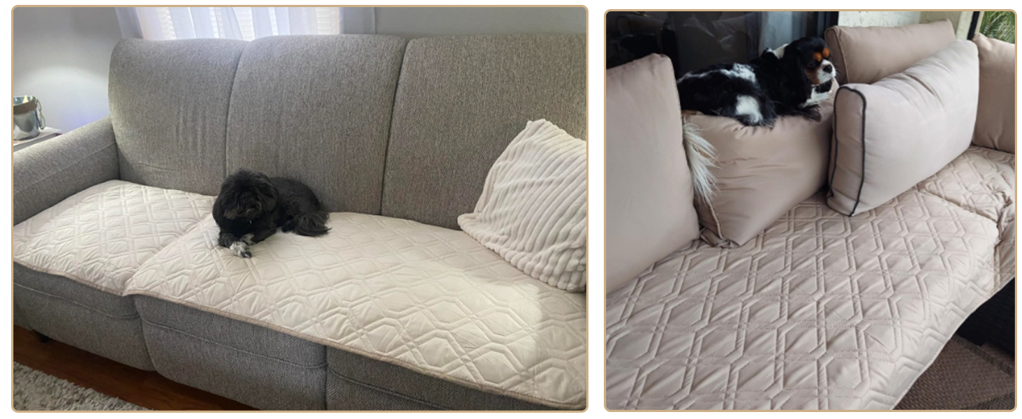 Водонепроникний килимок для собак GYURO - двосторонній, м'який, 97 x 190 см (Хакі) - для великих і маленьких собак, захист дивану, ліжка, авто, придатний для прання