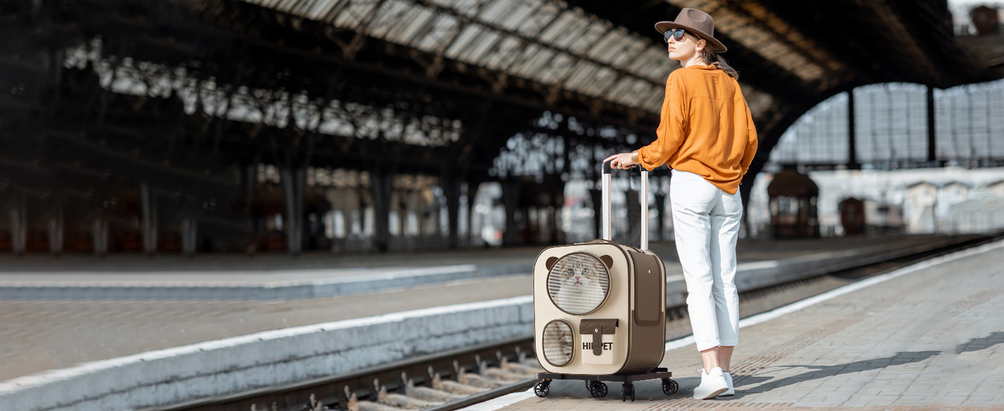 Рюкзак для тварин Galatée з колесами, зручний рюкзак для котів з знімними колесами, ролер-переноска для тварин, рюкзак для собак, ідеальний для подорожей/походів/відпочинку на природі (Блакитний)