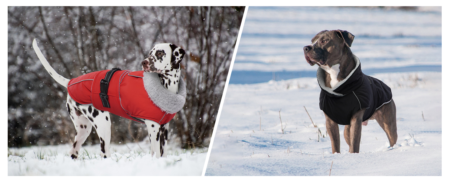 Водонепроникний зимовий одяг для собак, тепла вітрозахисна куртка для собак, антисні захисний костюм для мисливських собак (червоний, XL) XL B-Red