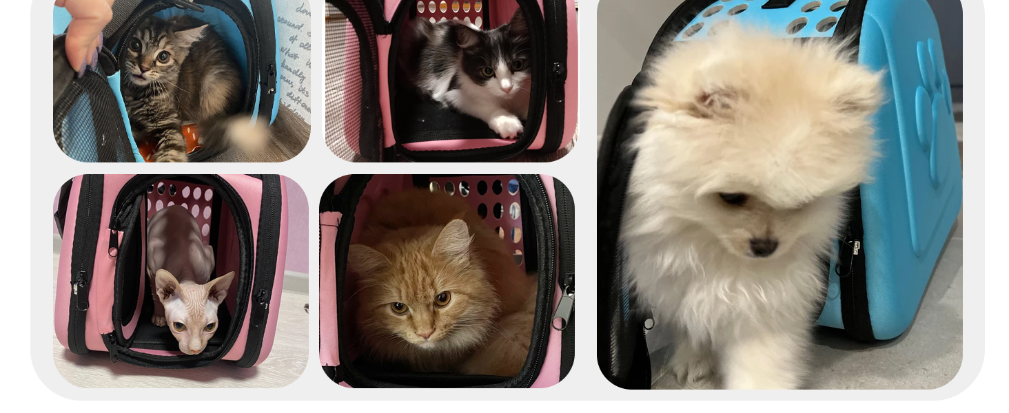 Транспортна сумка для собак і котів, переноска для тварин, дорожня сумка-переноска для маленьких собак і котів, до 4 кг, рожевий колір