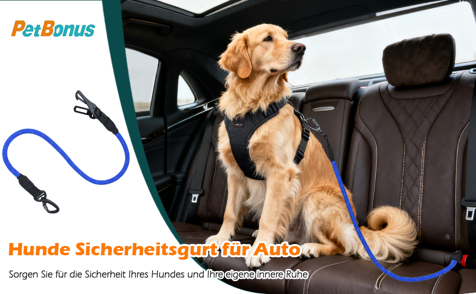 Автомобільний поводок для собак PetBonus: безпечний ремінь для собак, поводок-переноска для авто, надійні карабіни для малих, середніх та великих собак (рожевий)