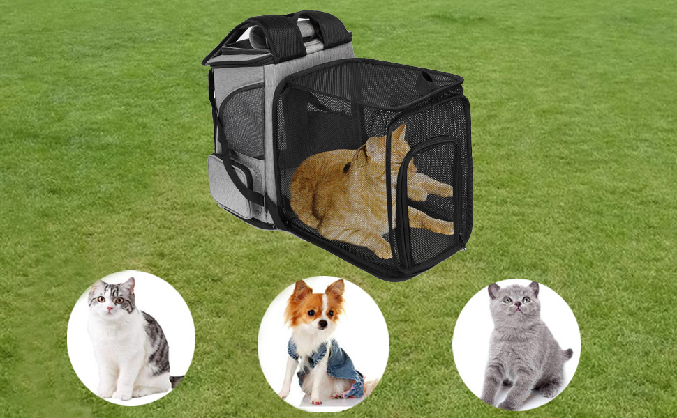 Рюкзак для собак, дихаючий, складаний, переноска для тварин, рюкзак-переноска для собак та котів