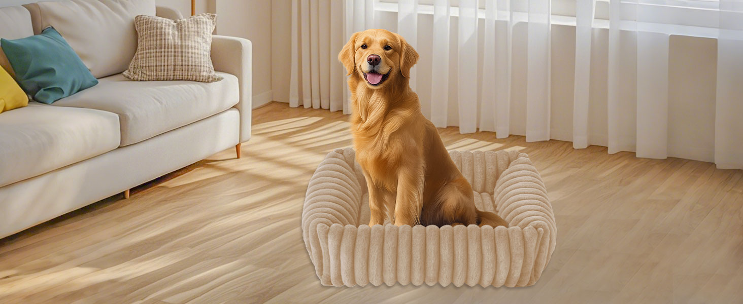 Крісло-ліжко для собак маленьких та середніх порід, 50x48x15 см, миється, кошик з антиковзким покриттям, бежевий/кремовий колір