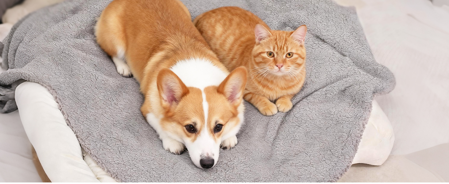 PETTOM Водонепроникний килимок для собак, 127 x 100 см, Sherpa Fleece, для середніх та великих собак, котів, м'який, з подвійним шаром, сірий