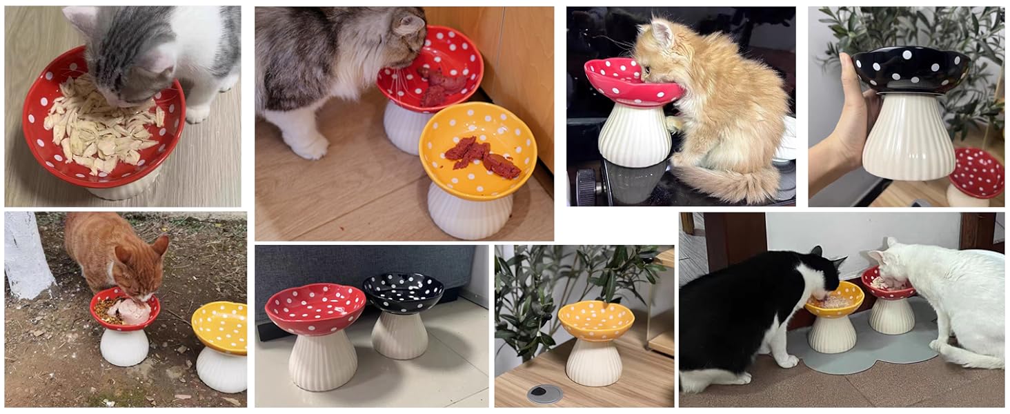 Підвищена годівниця для котів RESVUGA з милим дизайном, безпечна керамічна годівниця для котів та маленьких собак (жовта)