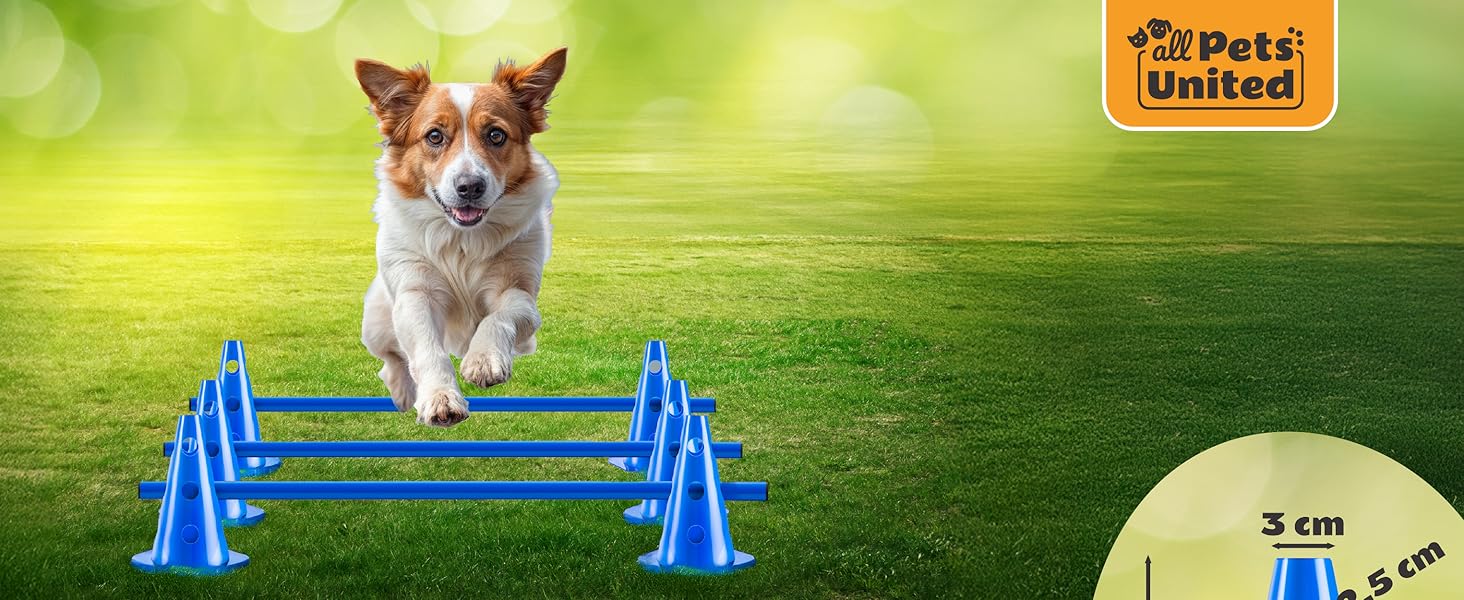 Набір перешкод для собак All Pets United®; Агілити-обладнання для собак та коней; Набір з перешкод, стержнів та конусів для тварин та футбольного тренування; Стійкий до погодних умов та стабільний (4 комплекти)