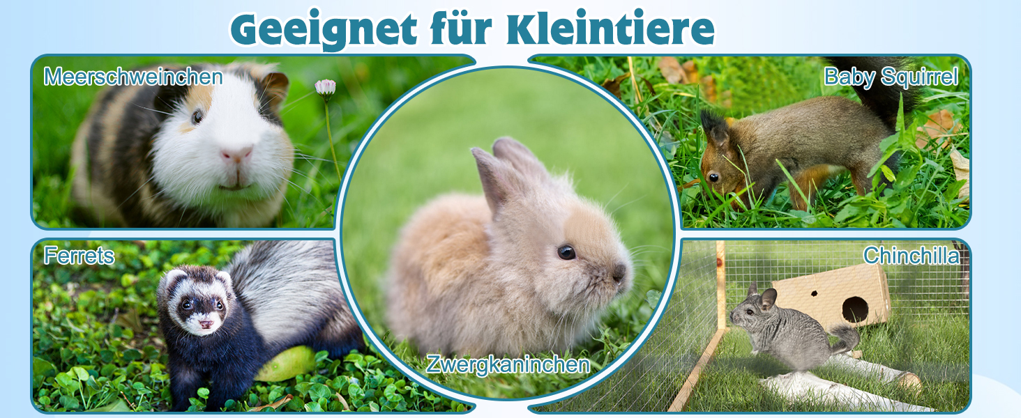 Автоматичний диспенсер води для тварин HYLYUN, 500 мл, підвісний, для морських свинок, шиншил, їжаків, фреток, блакитний