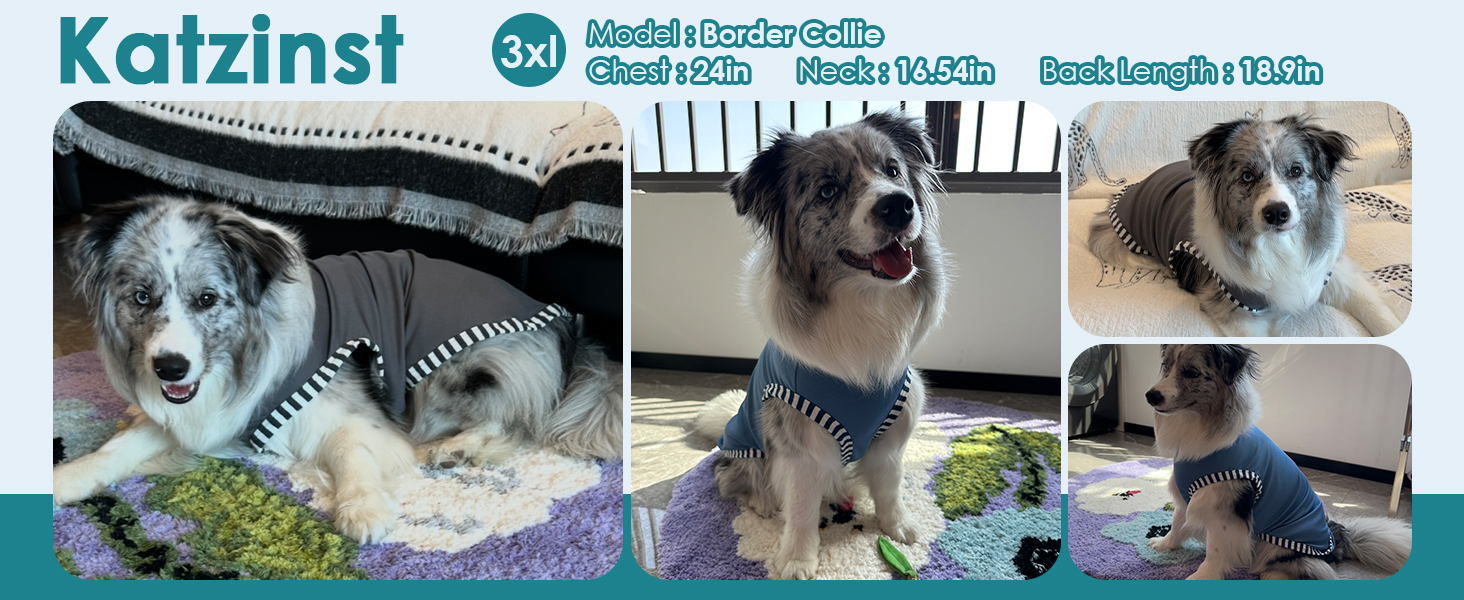 Сорочка для собак Katzinst (2 шт.) - сонцезахист, дихаючий матеріал, для середніх собак, французького бульдога, розмір L (зелений хакі)