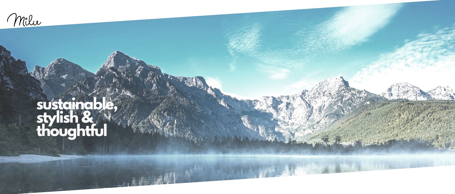 Водяна пляшка для собак Milu 950 мл з мискою для корму - ізольована сталева пляшка для собак, чорна