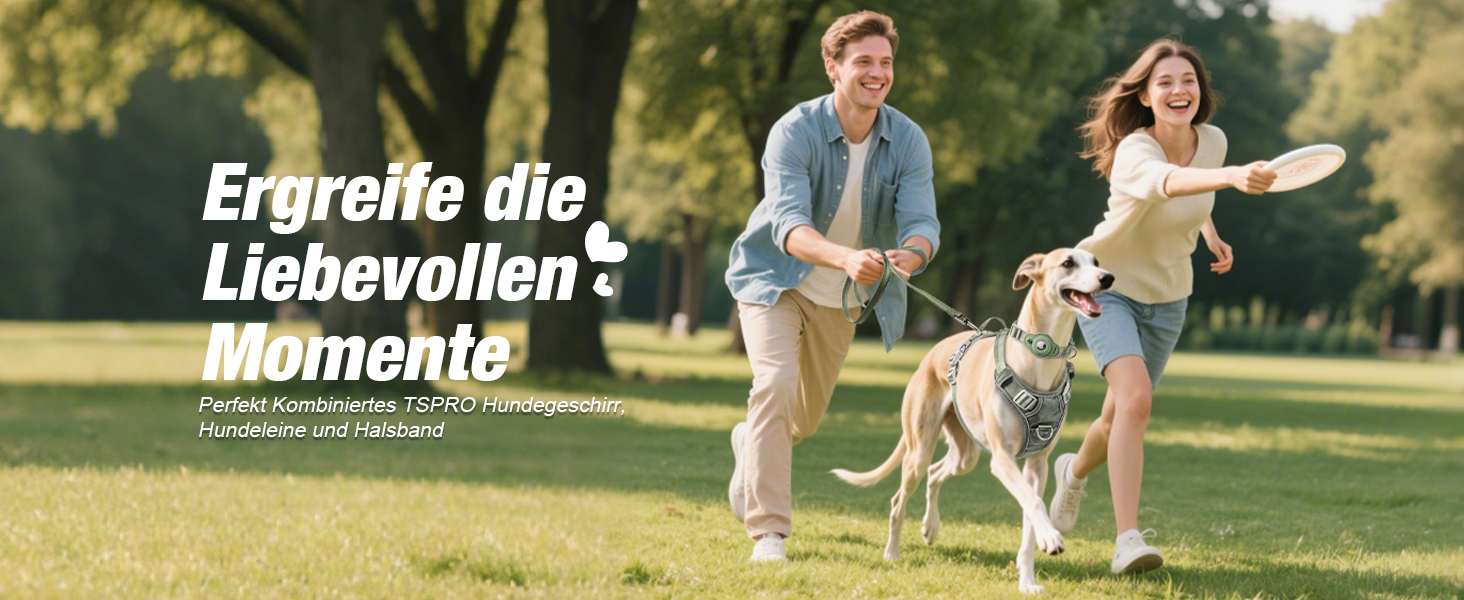 Шлейка для собак TSPRO з тримачем AirTag, регульована нагрудна стрічка для маленьких собак, з зручною ручкою, міцна та світловідбиваюча для прогулянок, бігу, тренувань (Зелена, розмір 2) Розмір 2 (обхват шиї 28.5-42 см, обхват грудей 42-53 см) Зелений