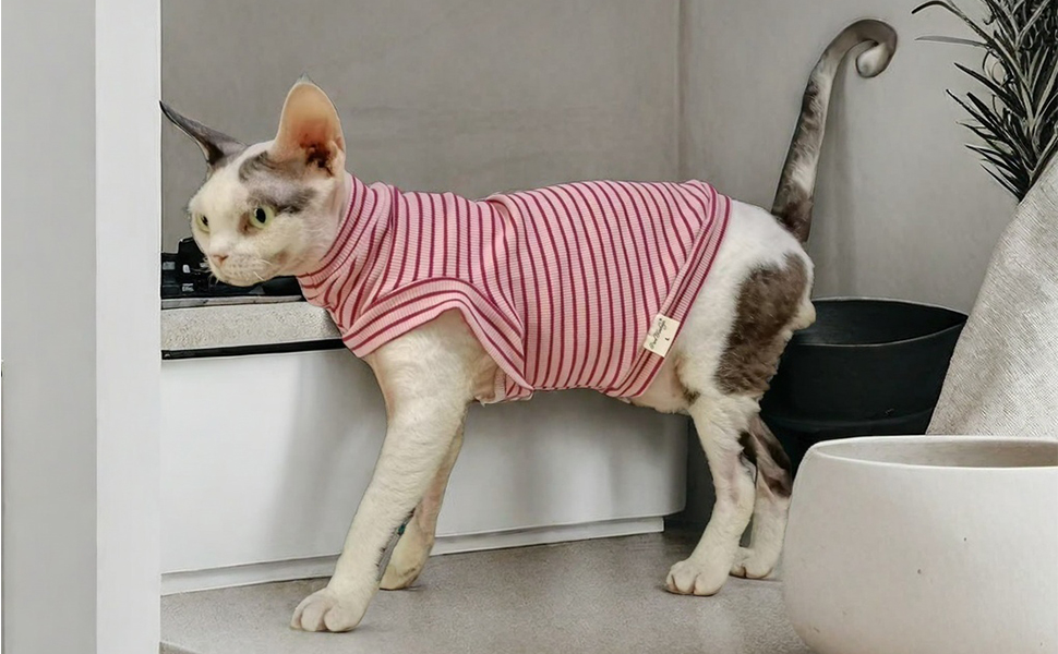 Світшот для безшерстних котів, бавовна, теплий, еластичний, рожевий, розмір S