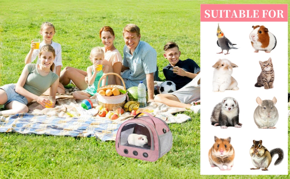 Транспортна переноска для тварин: котів, собак, кроликів, птахів. Складана переноска з плечовим ременем