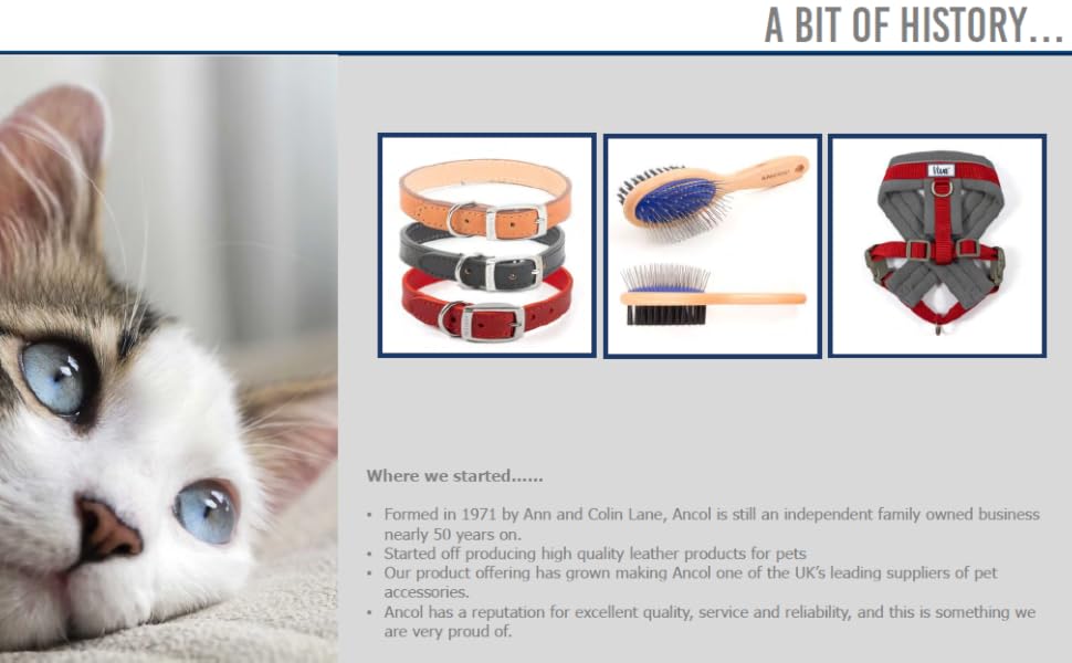 Килимок для собак Ancol Simply Dry Noodle: швидковисихаючий, сірий, 90x60 см