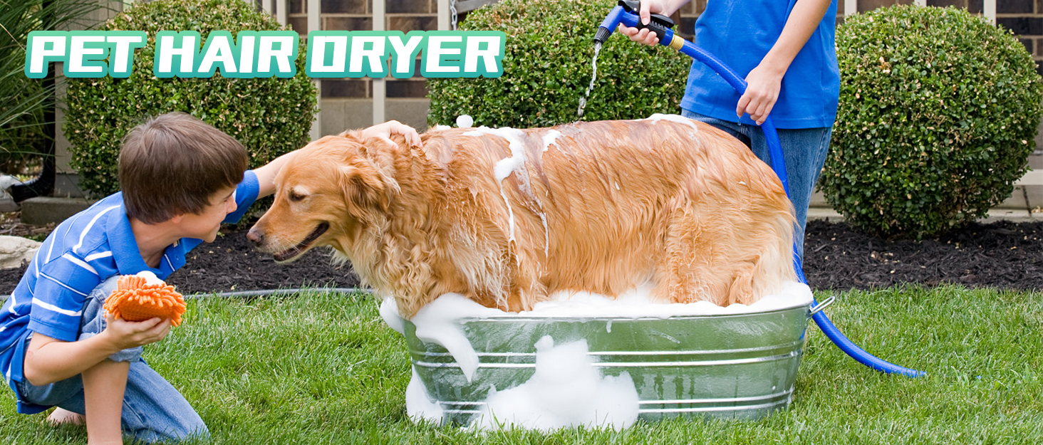 Сушарка для собак Mxmoonant 3500W з подвійним мотором - для великих і довгошерстих собак, професійний догляд за тваринами, 4 насадки та велика щітка