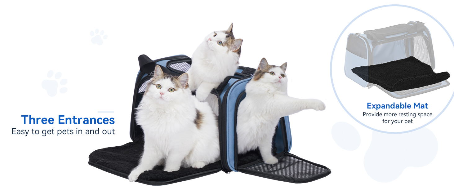 Транспортна переноска для котів та маленьких собак Petsfit, блакитна, S, з захисним ременем та розкладною підстилкою