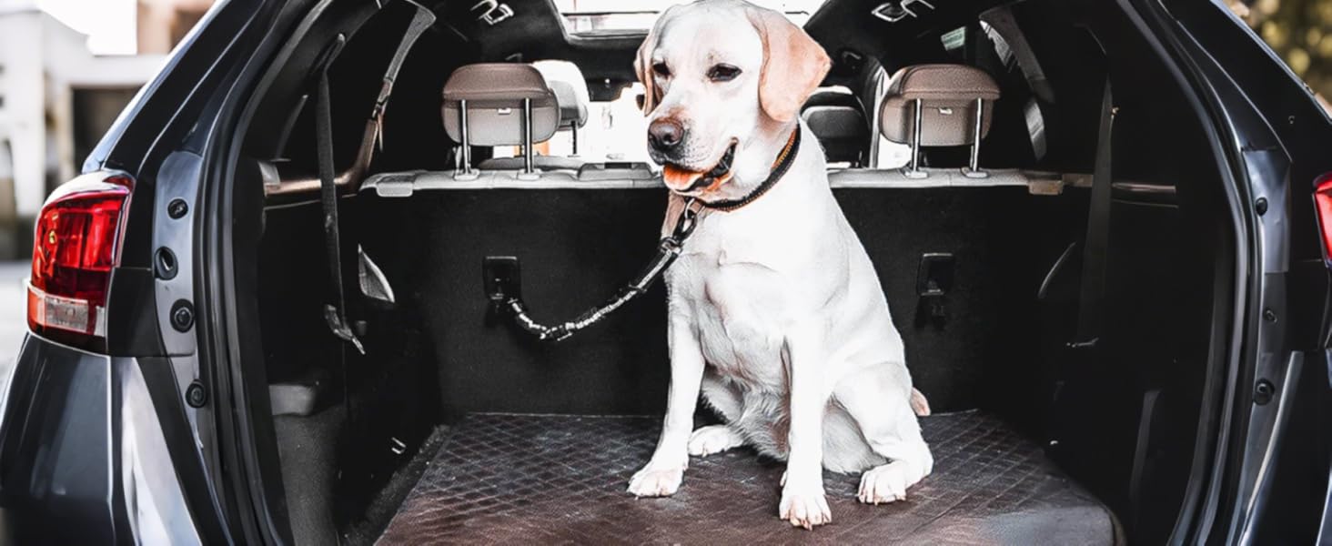 Ремінь безпеки для собак в авто: 2 шт., чорний, 60 см, з регулюванням та амортизацією