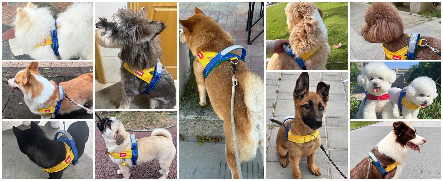 Нашийник для собак середніх та маленьких порід з повідком, кольоровий, сітка, м'який, з ручкою та кільцем, світловідбиваючий, легкий, чорно-сірий, розмір M