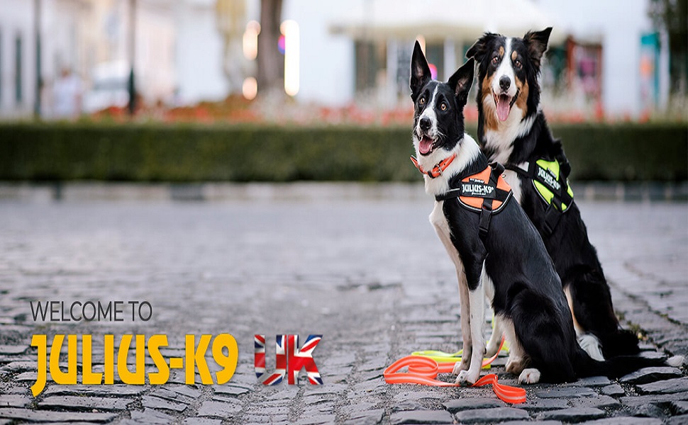 Шлея для собак Trixie Julius-K9 Power, розмір XL, неонова, чорна